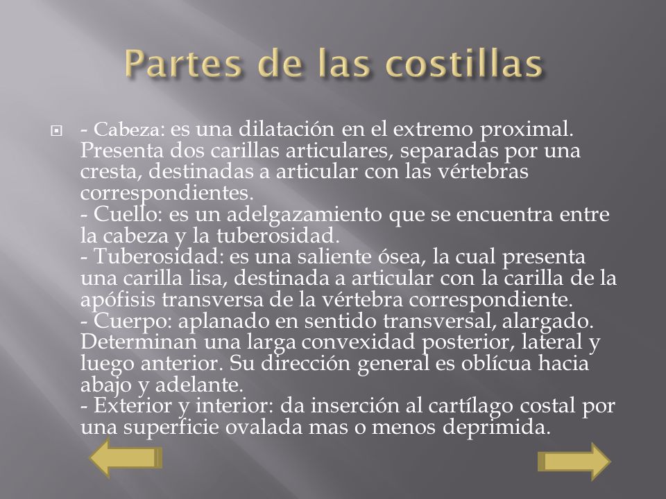 Que ejercicios son necesarios que adelgazar